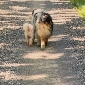 Meet your Posher, Martine